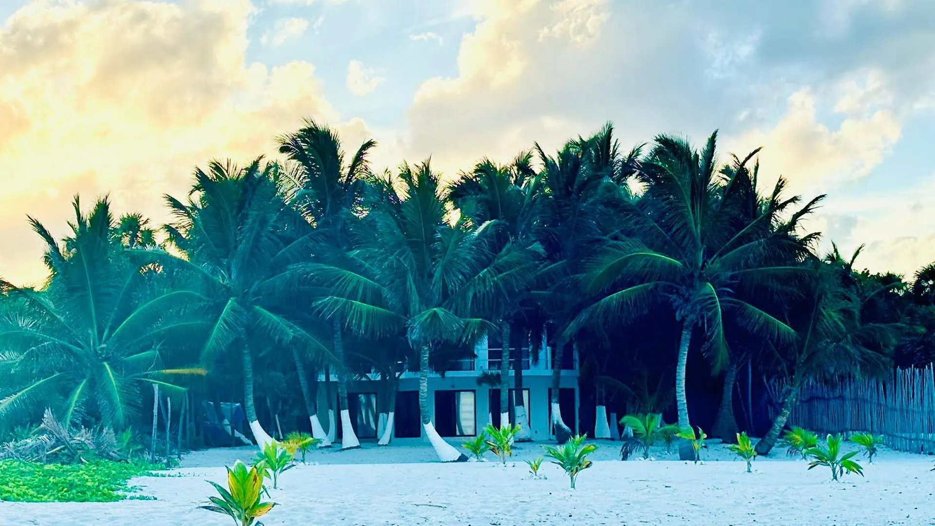 Casa Itzayana Costa Maya El Placer